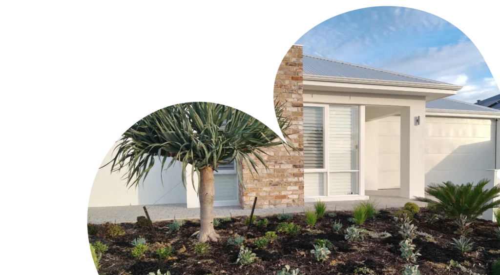 la vida homes coastal elevation with feature pier display